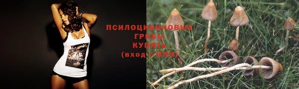 прущая мука Арсеньев