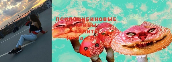 метадон Аркадак