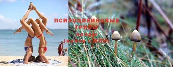 метадон Аркадак