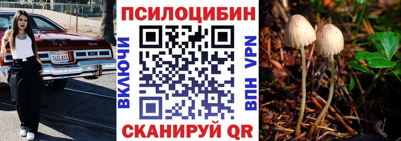 где продают наркотики  Ижевск  Псилоцибиновые грибы мицелий 