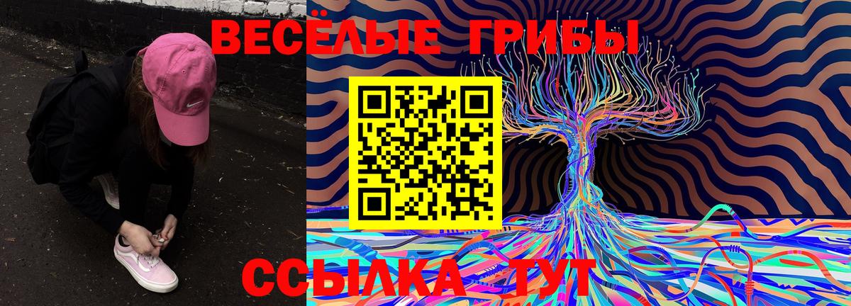 Ижевск  Галлюциногенные грибы мухоморы  Вход с VPN 