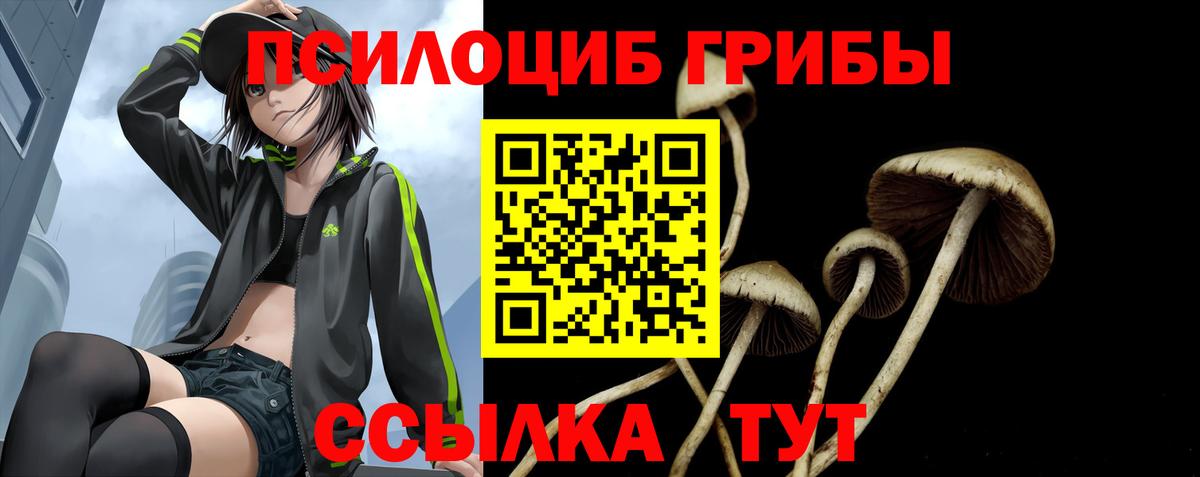 Псилоцибиновые грибы мицелий Ижевск